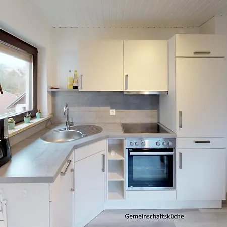Accommodatie bij particulieren Apartments Mosbach *